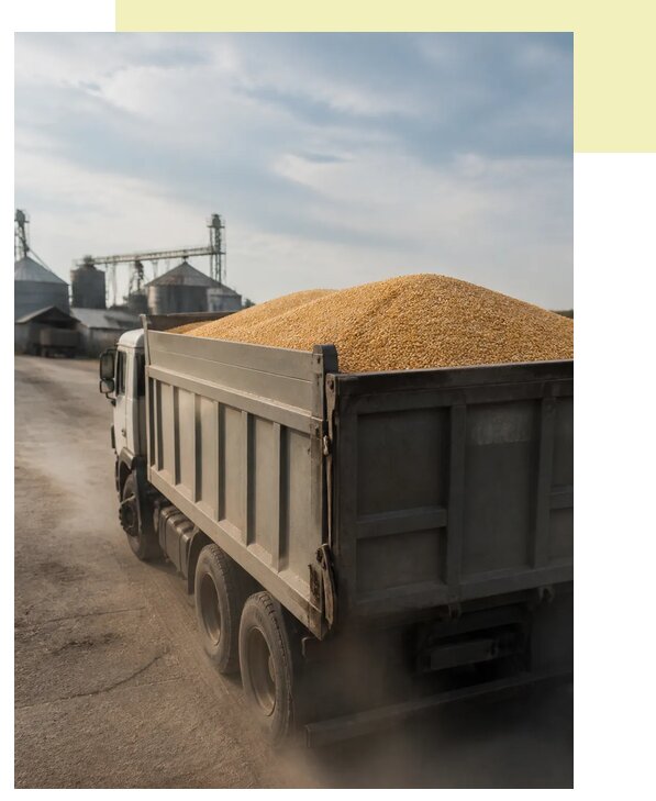 Перевозка сельхозпродукции навалом в Новочеркасск по цене от 3070 р. | Агросервис-Нвч